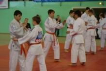 Resize of DSC08943.JPG